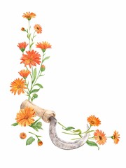 Vintage sickle for collecting herbs, orange calendula flowers. A tool for collecting medicinal plants. The concept of a home laboratory for the production of tea. - obrazy, fototapety, plakaty