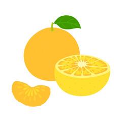 ハッサク。フラットなベクターイラスト。
Hassaku orange. Flat designed vector illustration.