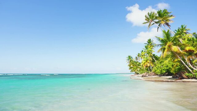 Landscape of natural wild Maldivian beach with palm trees. Beautiful tropical trees on the Indian coast. Sunny summer day on a paradise island in the ocean. A pristine desert beach for a honeymoon.
