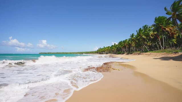 Calm turquoise ocean surface at the idyllic sandy beach of a tropical island with lush palms. Bright nature of the sea coast. Landscape of the picturesque One Foot Island. Palm tree shadow on the sand