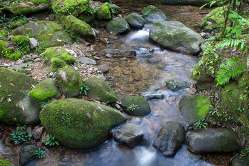 A small stream running along the Kinabalu National Park, Sabah, Malaysia