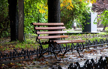 Benches in the autumn park
