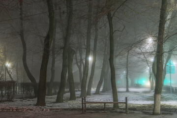 Winter fog among the trees of a roadside square.
