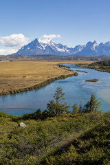 Serrano River, golden pampas and snowy mountains of Torres del Paine National Park in Chile, Patagonia, South America