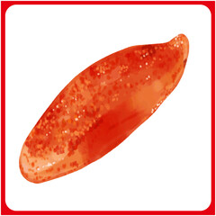 手描き水彩の明太子イラスト