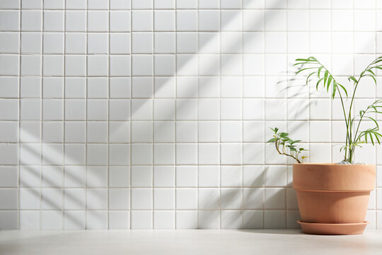 Various Objects On A White Tile Background With Warm Sunlight Shining Through
