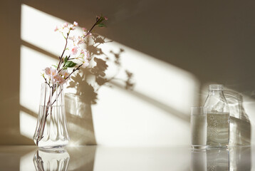Various objects on a white tile background with warm sunlight shining through
