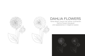 hand drawn monoline vector illustration.
dahlia flowers.
and appeareance in negative space.