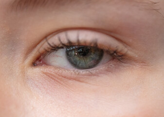 Girl's open eye. macro photo