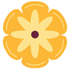 Paper Flower plant botanical
