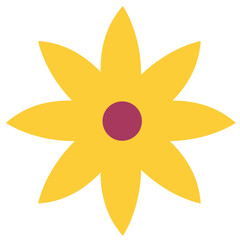 Paper Flower plant botanical
