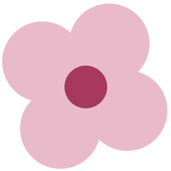 Paper Flower plant botanical
