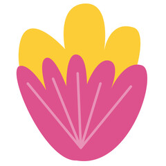 Paper Flower plant botanical
