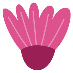 Paper Flower plant botanical
