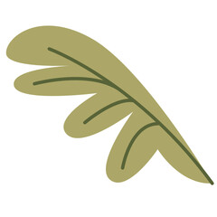 Paper Flower plant botanical
