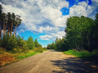 road in the forest