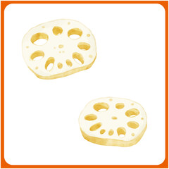 手描き水彩のスライスレンコンイラスト