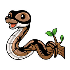 Fototapeta premium Cute ball python snake cartoon on tree branch