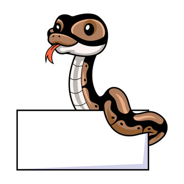 Cute ball python snake cartoon with blank sign
