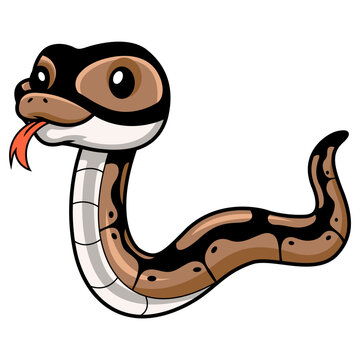 Cute ball python snake cartoon