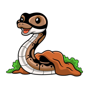 Cute ball python snake cartoon out from hole