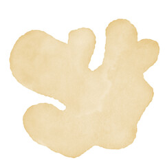 Yellow Watercolor Abstract Shapes 