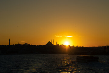 Istanbul photo. Silhouette of Istanbul and seagull at sunset.