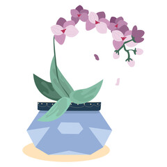 Orchid Flower Pot