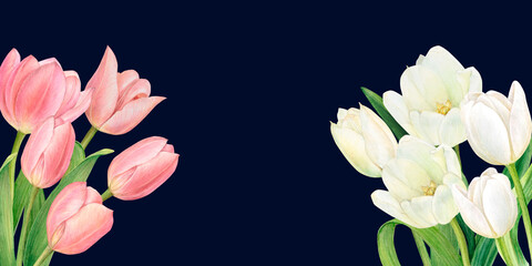 Watercolour banner with two beautiful bouquets of white and pink tulips. Hand-drawn on a black background.