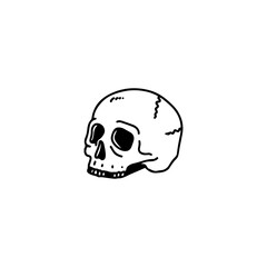 vector doodle skull illustration concept