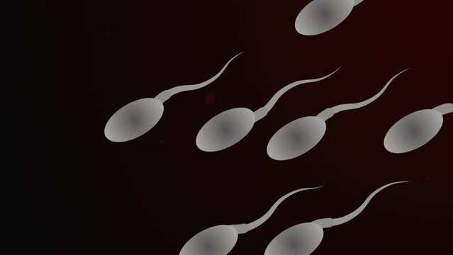 Spermatozoon moving to egg cell. Animation of human sperm. 4K video