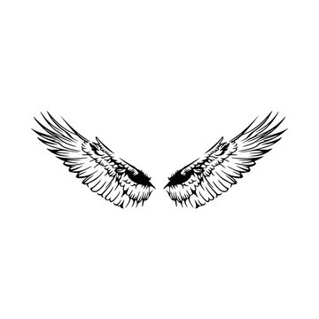 vector illustration of a pair of wings
