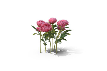 Naklejka premium bouquet of pink roses in vase