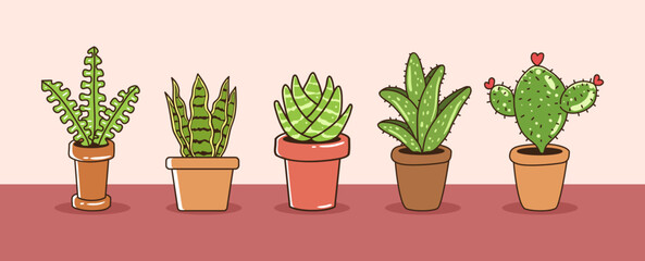 House plant vector collection