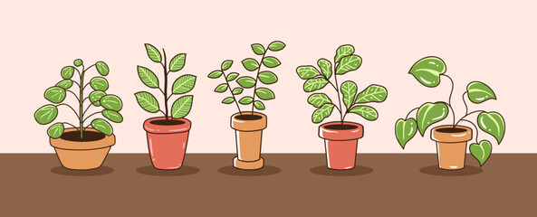 House plant vector collection