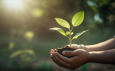 eco earth day concept. hand holding young plant in sunshine and green nature background - AI Generative - obrazy, fototapety, plakaty