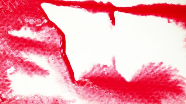 The red and pink watercolor is flowing and spreading on the white wet surface of paper, Blood and Murder Symbol backgound