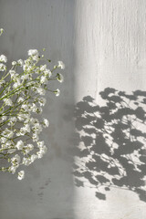 White flowers and floral sunlight shadows on wall, sun and shadow concept, summer rustic background