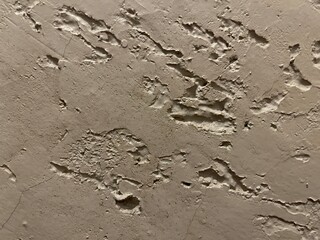 Cement wall with rough surface