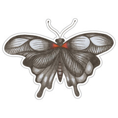 Hand Drawn Colorful Butterfly Sticker Isolated on White Background. Butterfly Illustration Drawn by Colored Pencil. Hand Drawn Moth Sticker.