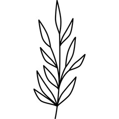 Plant Flower Outline Illustration