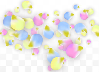 Vector Realistic Colorful Petals Falling on Transparent Background.  Spring Romantic Flowers Illustration. Flying Petals. Sakura Spa Design. Blossom Confetti. Design Elements for Wedding Decoration.