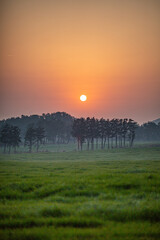 Obraz premium 노을지는 들판의 풍경