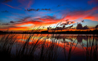 Big Cypress National Preserve