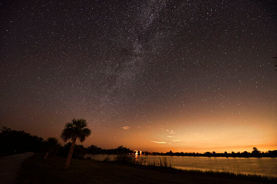 Stars in Big Cypress National Preserve