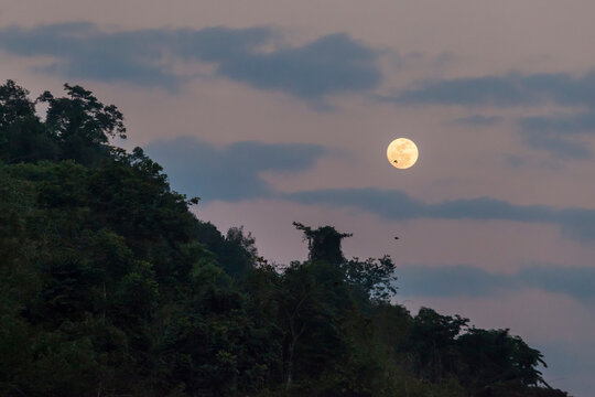 Full Moon in sky at sunset above trees in Phou Den Din National Protected Area, Phongsaly, Laos