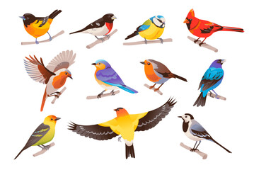 Obraz na płótnie Canvas Spring colorful birds set. Little birds sit on a branch. Vector illustration isolated on white background. 