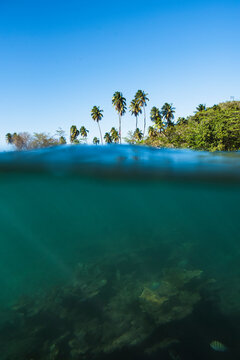 Tres Palmas Marine Reserve in Rincon, Puerto Rico