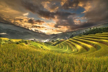 Fototapete Mu Cang Chai Paddy rice terraces with ripe yellow rice. Agricultural fields in countryside area of Mu Cang Chai, Yen Bai, mountain hills valley in Asia, Vietnam. Nature landscape background