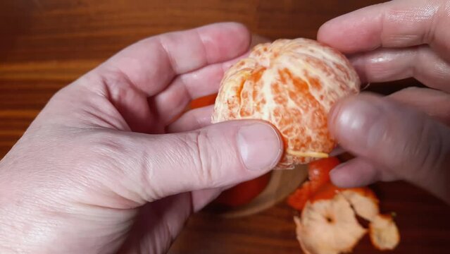 Tangerine Murcott in hands after peeling from a skin